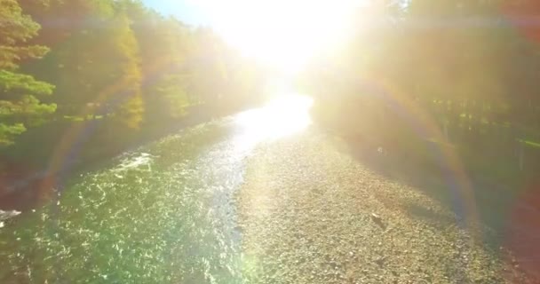 Voo de baixa altitude sobre o rio de montanha rápido fresco com rochas na manhã de verão ensolarada. — Vídeo de Stock