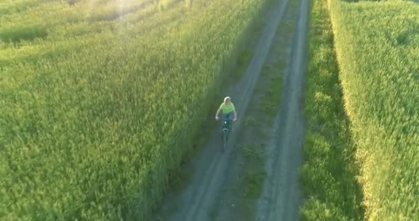 Kırsal yoldaki bir çim tarlasında bisiklet süren genç bir çocuğun hava manzarası. Güneş ışığı ve ışınlar. — Stok video