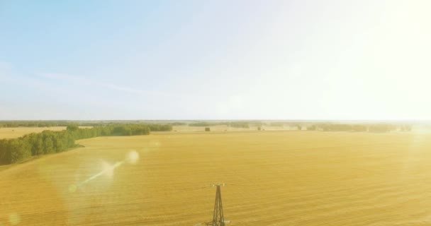 Vuelo de movimiento vertical cerca de la torre de alta tensión y líneas eléctricas en el campo verde y amarillo — Vídeos de Stock