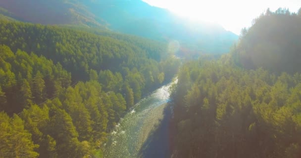 Vol à basse altitude au-dessus d'une rivière de montagne fraîche et rapide avec des rochers au soleil matin d'été. — Video