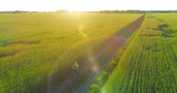 Vue aérienne sur le jeune garçon, qui monte à vélo à travers un champ d'herbe de blé sur la vieille route rurale. Lumière du soleil et rayons.