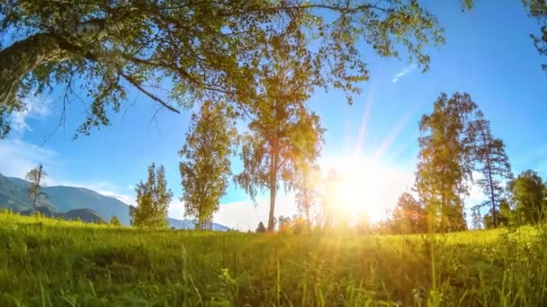 Mountain meadow time-lapse at the summer or autumn time. Wild nature and rural field. Motorised slider dolly movement. — Stock Video