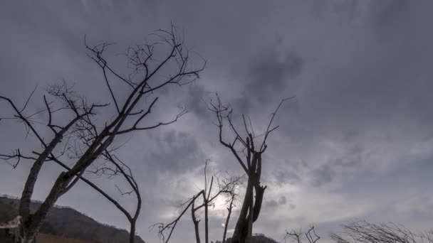 Lapso de tempo da árvore da morte e grama amarela seca na paisagem montanhosa com nuvens e raios de sol. Movimento deslizante horizontal — Vídeo de Stock