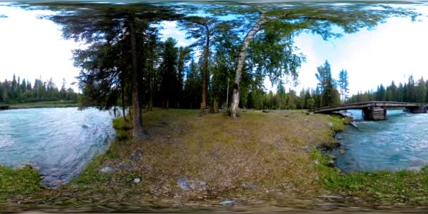 360 VR 가상 현실의 야생 숲. 파인 숲, 작은 빠르고 차가운 산의 강. 국립 공원. — 비디오