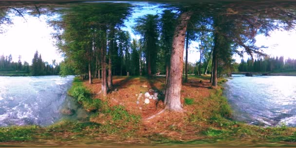 360 VR realidade virtual de uma floresta selvagem. Floresta de pinheiro, pequeno e rápido rio de montanha frio. Parque nacional. — Vídeo de Stock