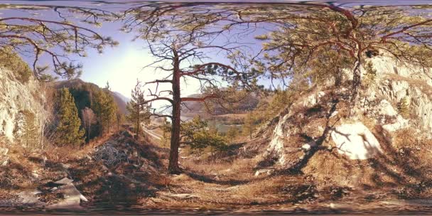 Vr einer Bergszene zur Herbstsonnenzeit. Wilde Berge, Kiefern und riesige Felsen. — Stockvideo