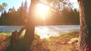 Dağ nehri kıyısındaki çayır. Yeşil çimlerle, çam ağaçlarıyla ve güneş ışınlarıyla kaplı bir manzara. Motorlu kaydırma kulesinde hareket.