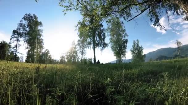 Prairie rurale ensoleillée au paysage de montagne avec herbe verte, arbres et rayons du soleil. Mouvement diagonal sur poupée coulissante motorisée. — Video