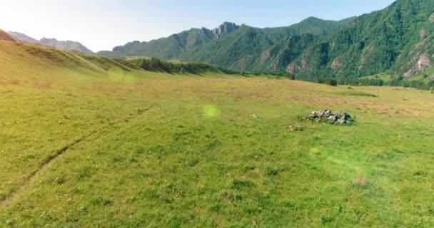 Flucht über Wildpferde auf der Weide. Frühling Berge wilde Natur. Freiheits-Ökologiekonzept. — Stockvideo