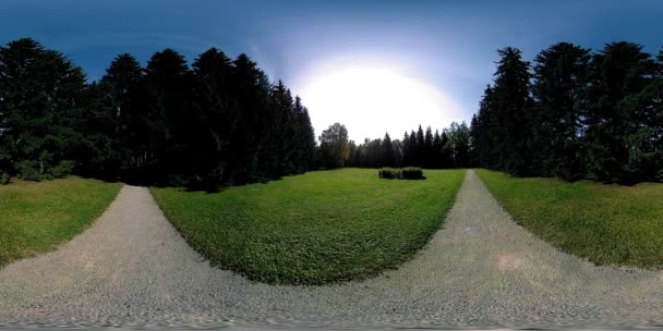 UHD 4K 360 VR Realidade Virtual de uma área de recreação do parque da cidade. Árvores e grama verde no outono ou no dia de verão — Vídeo de Stock