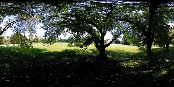 UHD 4K 360 VR A városi park szabadidős területének virtuális valósága. Fák és zöld fű ősszel vagy nyáron — Stock videók