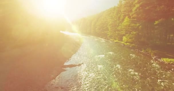 Μέσα του αέρα πτήση πάνω από το φρέσκο και καθαρό ορεινό ποτάμι στο ηλιόλουστο καλοκαιρινό πρωί — Αρχείο Βίντεο