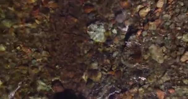 Midden in de lucht vlucht over frisse en schone bergrivier op zonnige zomerochtend. Bovenaanzicht en horizontale beweging — Stockvideo