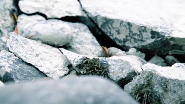 Dolly-Slider-Aufnahme des plätschernden Wassers in einem Gebirgsfluss in Waldnähe. Nasse Felsen und Sonnenstrahlen. Horizontale stetige Bewegung. — Stockvideo