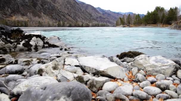 Dolly deslizador de tiro de las salpicaduras de agua en un río de montaña cerca del bosque. Rocas húmedas y rayos de sol. Movimiento horizontal constante. — Vídeos de Stock