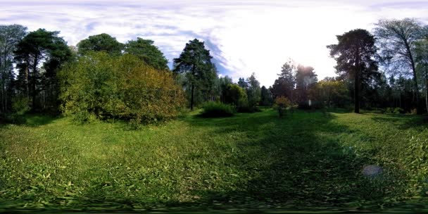 UHD 4K 360 VR Réalité virtuelle d'un parc municipal zone de loisirs. Arbres et herbe verte le jour d'automne ou d'été — Video