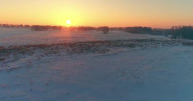 Arktik çayırlı soğuk kış manzarası, karla kaplı ağaçlar ve ufukta sabah güneşleri..