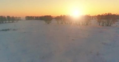 Arktik çayırlı soğuk kış manzarası, karla kaplı ağaçlar ve ufukta sabah güneşleri..