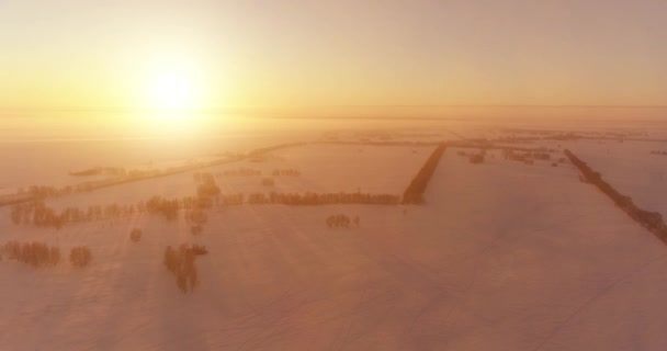 空中无人驾驶飞机俯瞰着寒冷的冬季风景，有北极的田野，被霜雪覆盖的树木和地平线上的晨曦. — 图库视频影像