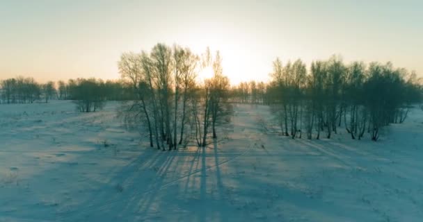 Veduta aerea drone del freddo paesaggio invernale con campo artico, alberi coperti di neve gelo e raggi del sole del mattino all'orizzonte. — Video Stock