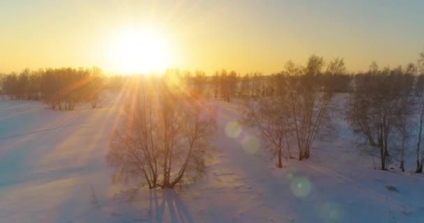 Αεροφωτογραφία drone του κρύου χειμερινού τοπίου με αρκτικό πεδίο, δέντρα καλυμμένα με παγωμένο χιόνι και ακτίνες του ήλιου το πρωί πάνω από τον ορίζοντα. — Αρχείο Βίντεο
