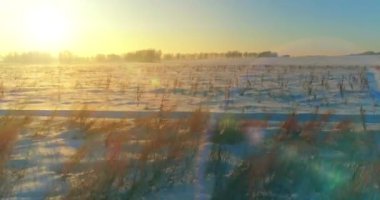 Arktik çayırlı soğuk kış manzarası, karla kaplı ağaçlar ve ufukta sabah güneşleri..
