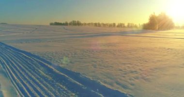 Arktik çayırlı soğuk kış manzarası, karla kaplı ağaçlar ve ufukta sabah güneşleri..