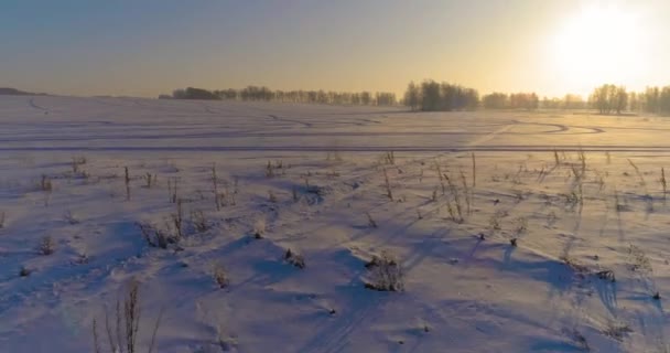 Veduta aerea drone del freddo paesaggio invernale con campo artico, alberi coperti di neve gelo e raggi del sole del mattino all'orizzonte. — Video Stock