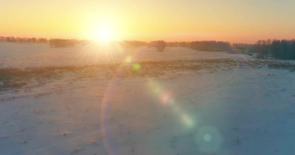 Vue aérienne par drone du paysage hivernal froid avec champ arctique, arbres couverts de neige verglaçante et rayons du soleil matinaux au-dessus de l'horizon. — Video