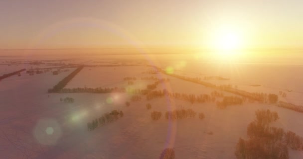 Vue aérienne par drone du paysage hivernal froid avec champ arctique, arbres couverts de neige verglaçante et rayons du soleil matinaux au-dessus de l'horizon. — Video