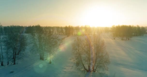 Widok z lotu ptaka na zimny zimowy krajobraz z polem arktycznym, drzewa pokryte mrozem śniegu i poranne promienie słońca nad horyzontem. — Wideo stockowe