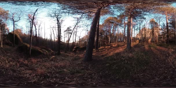 4K 360 VR Réalité virtuelle d'une belle scène de montagne à l'automne. Montagnes sauvages de Sibérie. — Video