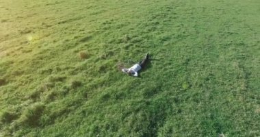 Yeşil çimlerin üzerinde sarı kırsal alanda not defteri olan bir adamın etrafında alçak yörünge uçuşları..