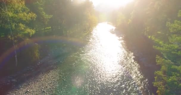 Tiefflug über frischen schnellen Gebirgsfluss mit Felsen an sonnigem Sommermorgen. — Stockvideo