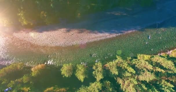 日当たりの良い夏の朝に岩と新鮮な速い山の川の上の低高度飛行. — ストック動画