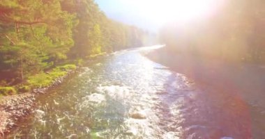 Güneşli yaz sabahında kayalarla birlikte taze, hızlı dağ nehri üzerinde alçak irtifa uçuşu..