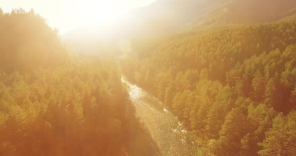 Volo a bassa quota sul fresco fiume di montagna veloce con rocce al soleggiato mattino d'estate. — Video Stock