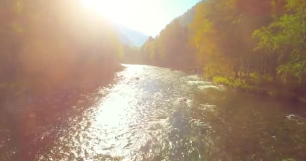 日当たりの良い夏の朝に岩と新鮮な速い山の川の上の低高度飛行. — ストック動画