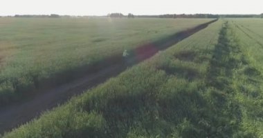 Kırsal yoldaki bir çim tarlasında bisiklet süren genç bir çocuğun hava manzarası. Güneş ışığı ve ışınlar.