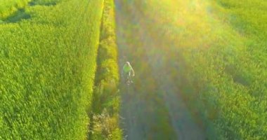 Kırsal yoldaki bir çim tarlasında bisiklet süren genç bir çocuğun hava manzarası. Güneş ışığı ve ışınlar.