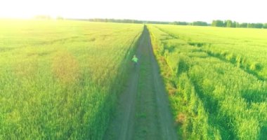 Kırsal yoldaki bir çim tarlasında bisiklet süren genç bir çocuğun hava manzarası. Güneş ışığı ve ışınlar.