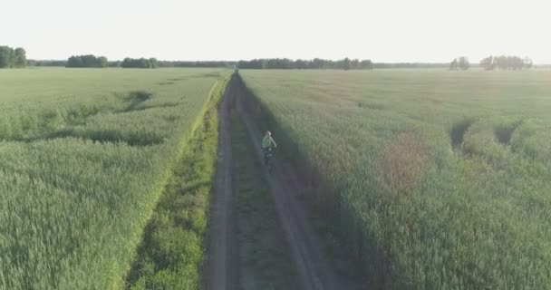 Letecký pohled na mladého chlapce, který jede na kole přes pšeničné trávníkové pole na staré venkovské silnici. Sluneční světlo a paprsky. — Stock video