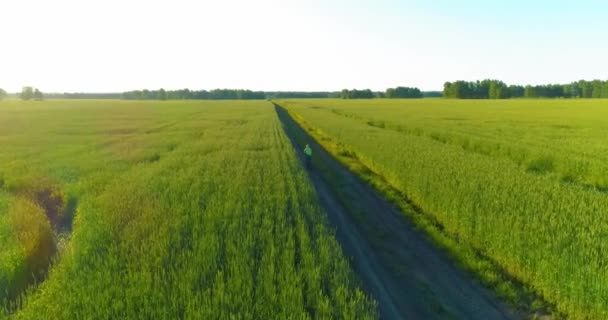 Vista aérea sobre o menino, que monta uma bicicleta através de um campo de grama de trigo na antiga estrada rural. Luz solar e vigas. — Vídeo de Stock