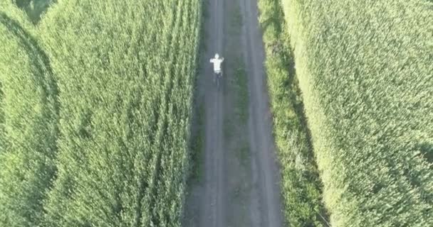 Flygfoto på ung pojke, som rider en cykel genom ett vete gräs fält på den gamla landsvägen. Solljus och strålar. — Stockvideo