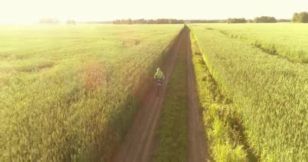 Flygfoto på ung pojke, som rider en cykel genom ett vete gräs fält på den gamla landsvägen. Solljus och strålar. — Stockvideo