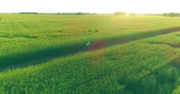 Flygfoto på ung pojke, som rider en cykel genom ett vete gräs fält på den gamla landsvägen. Solljus och strålar. — Stockvideo