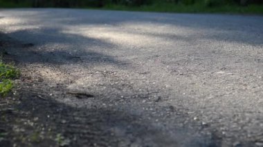 Asfalt yolda koşan sporcu. Kırsal şehir parkı. Yeşil ağaç ormanı ve ufukta güneş ışığı.