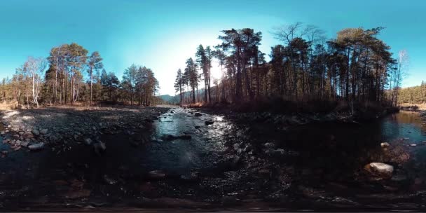 360 VR virtuális valóság egy vad hegyek, fenyvesek és folyók áramlását. Nemzeti park, rét és napsugarak. — Stock videók