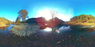 Vahşi dağların, çam ormanlarının ve nehir akışlarının 360 VR sanal gerçekliği. Ulusal park, çayır ve güneş ışınları.