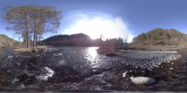 360 VR realidade virtual de uma montanha selvagem, pinhal e fluxos de rio. Parque nacional, prado e raios de sol. — Vídeo de Stock